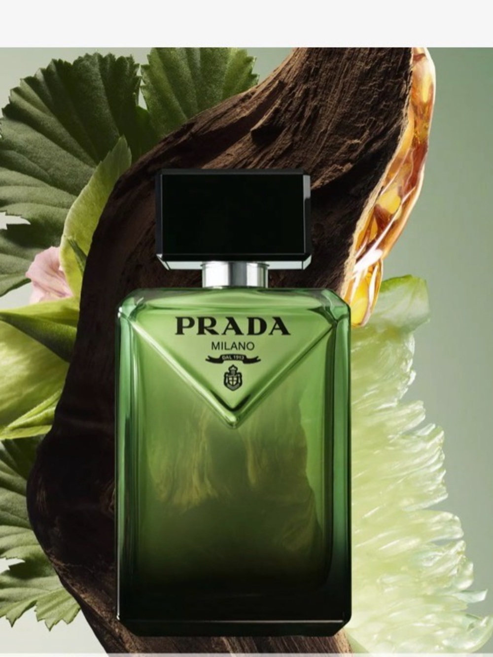 Prada Paradigme Eau de Parfum 50ml